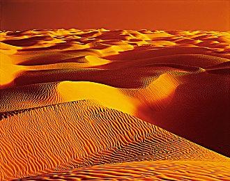 前育碧高管加入亚马逊游戏部门 负责全新高成本大作