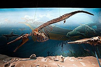 《妮姬：胜利女神》 新角色PV 首月收入或超1亿美元