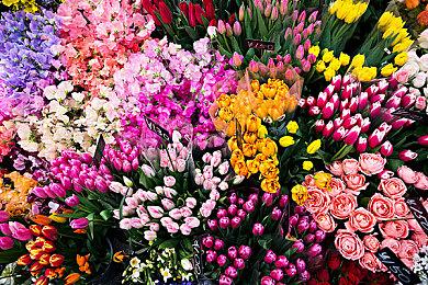 《最后的咒语》正式版明年Q1发售 获特别好评