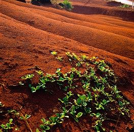 《铁拳8》忍者吉光预告片分享 奇异传说回归